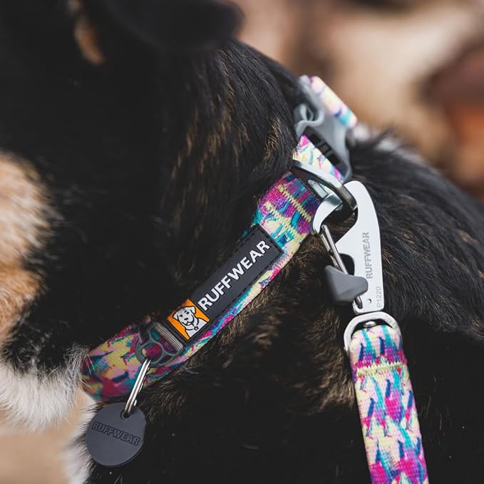 Ruffwear, Front Range Dog Collar, Adjustable Tubelok Webbing, Lightweight, Side Release Buckle, Aluminum V-Ring, Durable for Everyday Use, Reef Fish, 20"-26"