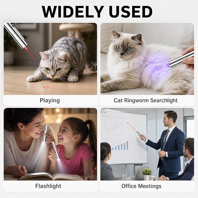 Cat Interactive Light Toy, 3 Light Modes & 5 Fun Patterns, USB Rechargeable Pointer for Cats/Dogs/Birds, 20-Min Fast Charge, Stainless Steel Portable Cat Chaser Toy with RingwormDetector & Flashlight