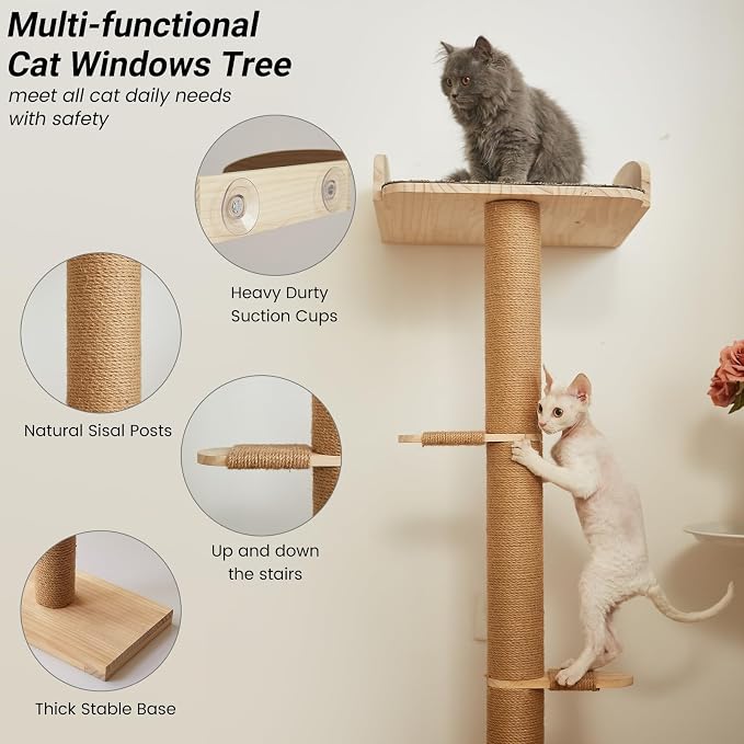 Cat Window Perch with Tall Scratching Posts, Inside 48 in Tall Climbing Tree Hammmock Mounted with Suction Cups for Climbing, Bird Watching, and Play, Supports 45 lbs