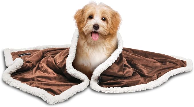 Pawsse Sherpa Puppy Blanket for Small Dogs Kitten, Warm Flannel Plush Pet Bed Blanket Reversible, 45"x30" Brown/Latte