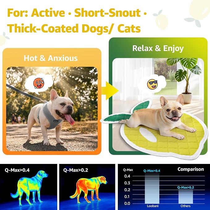 LOOBANI Dog Cooling Mat 38"x50"- Cute Lemon Design Cooling Mat for Dogs (Cool & Warm Side), Waterproof Self-Cooling Mat for Crate, Floor, Car for Small Dogs, Cats, Pet, Yellow 38x50 in