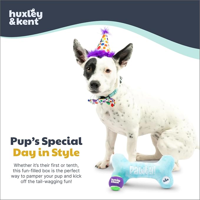 Huxley & Kent Celebration Box for Dogs - Fun Gift Kit with Plush Squeaky Toys, Party Hat, Bow Tie & Banner - Birthday, Gotcha Day & Special Occasion Dog Kit - Happy Barkday Box, Large