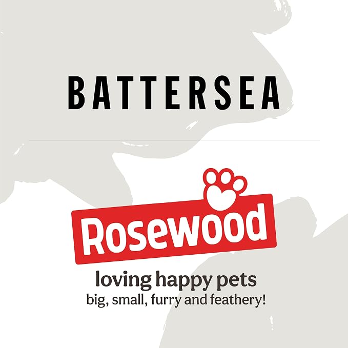 Rosewood Battersea Rope Bone Dental Chew Dog Toy, 6cm x 15cm,Blue