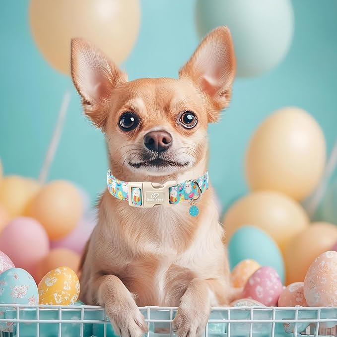 Easter Dog Collar for Giant Large Dogs - Cute Easter Egg Hunt Dog Collars for Boy Girl Dogs, Playful Bunny & Chick Print, Lightweight Adjustable Spring Holiday Dog Collar XL