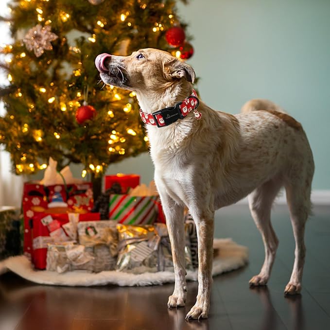 ARING PET Christmas Dog Collar-Cute Red Santa Claus Adjustable Xmas Pet Collars Puppy Collar with Quick Release Buckle for Girl&Boy Dogs-XS