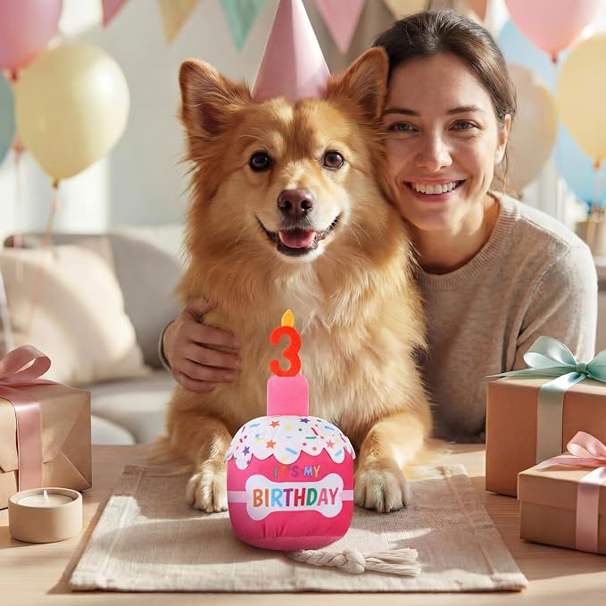 Dansydaisy Dog Birthday Cake Toy Squeaky Plush Toy for Girl Boy Gifts, Chew Accessories for Dog Birthday Party Decor Favor for Large, Medium and Small Dogs(3rd,Rose Pink)