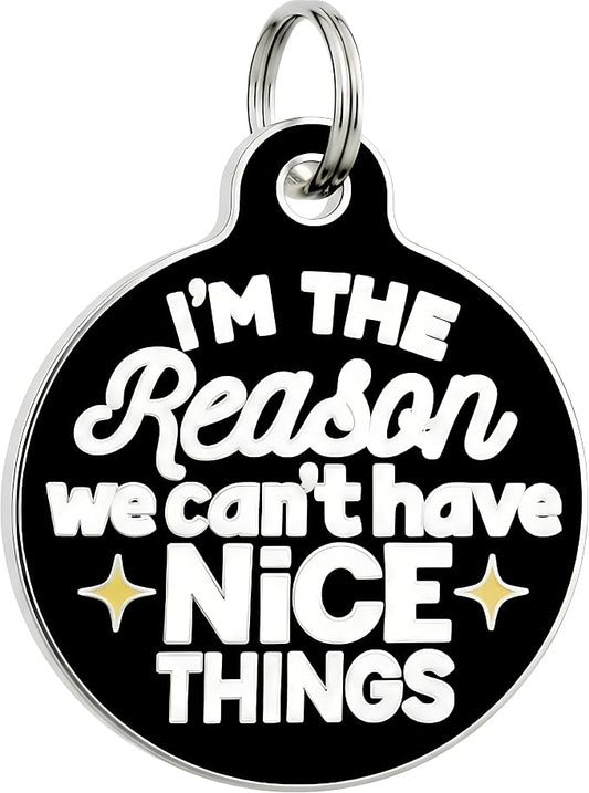Bad Tags Personalized Dog and Cat ID Tags in 25+ Designs and 2 Sizes - 5 Lines of Custom Engraved Text - Funny Cute Personalized Pet Tags (I'm The Reason We Can't Have Nice Things, Large (1.25 inch))