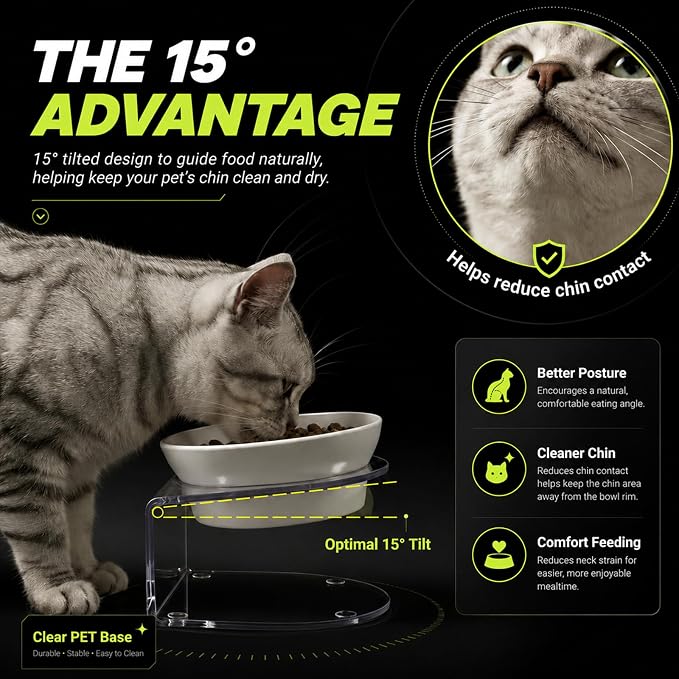 LivLab Mker Elevated Cat Bowls, Tilted Melamine, White, 2 Pack | Two tilted melamine bowls support comfortable feeding for cats, kittens, flat-faced pets, and small dogs; white finish.