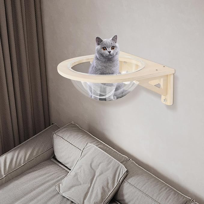 Transparent Cat Window Perch and Wall Shelves with 5 Strong Suction Cups, Cat Wall Capsule Bed Floating Pet Nest for Indoor Cats Climbing and Sleeping, Space-Saving Furniture