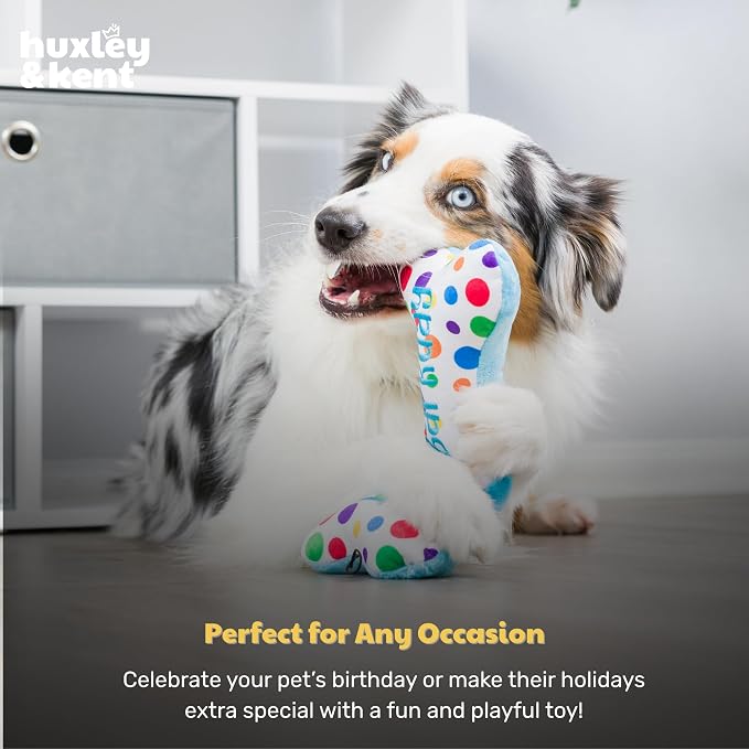 Huxley & Kent Funny Dog Toy w/Squeaker – Power Plush Squeaky Dog Toys for Small, Medium & Large Dogs – Soft Stuffed Animal for Indoor Play & Fetch - It's My Barkday Bone, Large