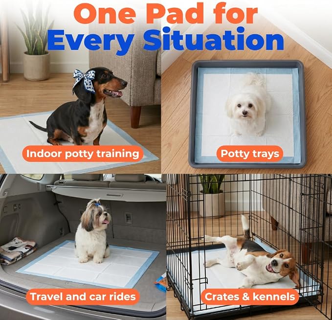 Best Pet Supplies Puppy Pads (22.5 x 22 Inches) - Disposable, Dog Training Potty, Super Absorbent Baby Blue Puppy Pee Pads for Dogs (300 Count)