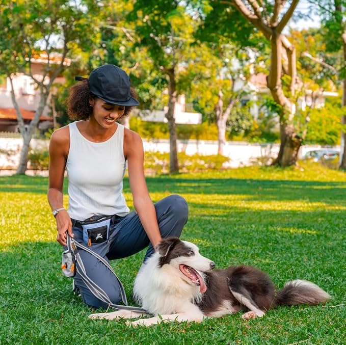 Goodie Treat Bag, Dog Treat Training Pouch | Magnetic Closure | 3 Ways to Wear | Hands-Free Waist Belt | Water-Resistant Recycled Vegan Fabric (Blue Heron)
