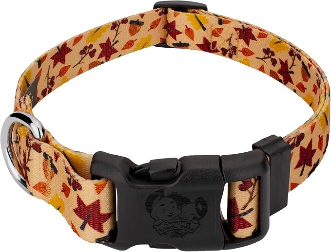 Country Brook Design 1/2 Inch Adjustable Everyday Dog Collar for Small, Medium, Large Breeds - Autumn and Fall Collection with Multiple Designs (Fall Foliage, Extra Small)