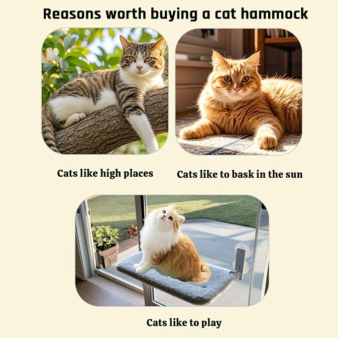Cat Window Perch, Cordless Foldable Cat Hammock for Indoor Cats with Upgraded Suction Cups Strong Metal Frame Holds Up to 44lbs (M 1PC)