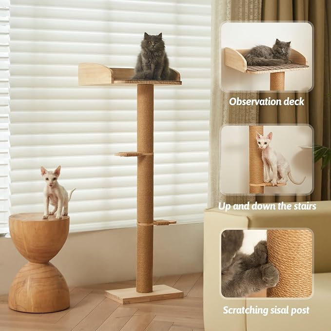 Cat Window Perch with Tall Scratching Posts, Inside 48 in Tall Climbing Tree Hammmock Mounted with Suction Cups for Climbing, Bird Watching, and Play, Supports 45 lbs