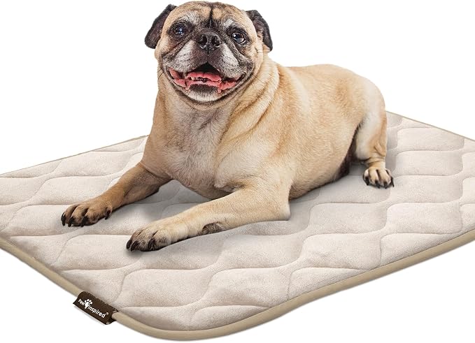 Paw Inspired Washable Padded Crate Mats for Dogs, Beige, 29x18 Inch | Fits 30-inch Kennels, Leakproof, Waterproof Bottom, Plush Dog Pad, Pet Bed