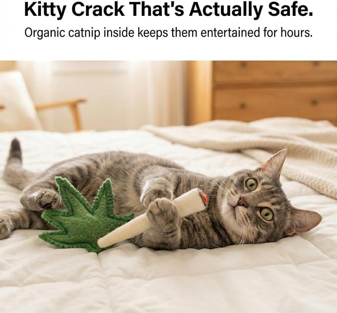 Glaciart One Catnip Joint & Leaf Cat Toy Set | Crack for Funny Kittens, Stimulating Toys for Boredom, Exercise & Play | Filled w/Organic Catnip to Excite/Calm Kitty | Organic Idea