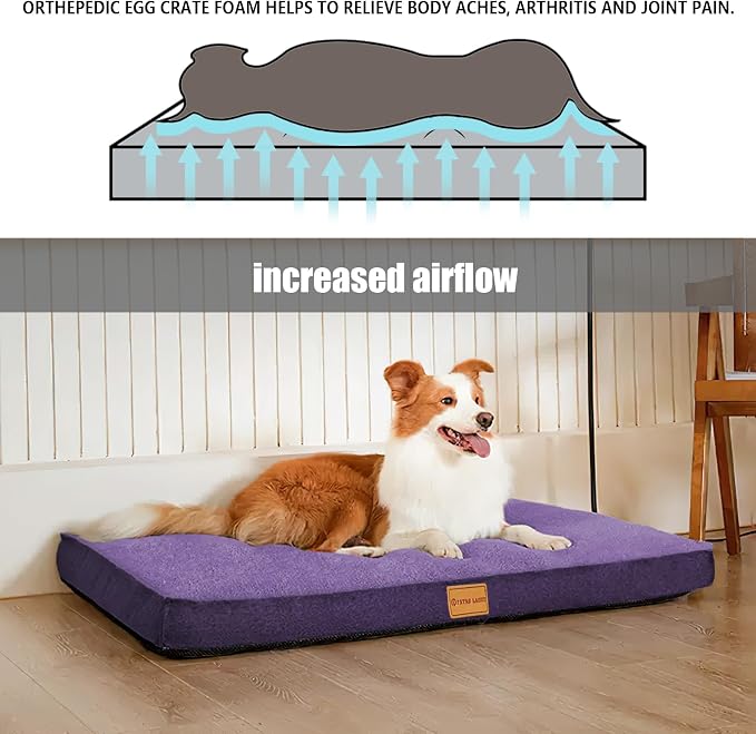 Patas Lague Orthopedic Large Dog Bed Washable Pet Sofa Mat 48''X30''Purple | Egg-Crate Foam Dog Couch For Large Sized Dogs, Waterproof Removable Cover, Soft Pet Crate Bed With Nonskid Bottom