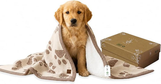 100% Organic Cotton Pet Blanket 30 x 38 in – Plush Double Layer Sherpa, Cozy Throw for Small Dogs, Cats & Baby – Earth Ivory/Mocha Meringue