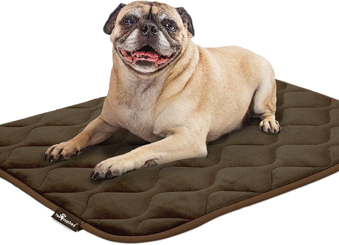 Paw Inspired Washable Padded Crate Mats for Dogs, Dark Brown, 29x18 Inch | Fits 30-inch Kennels, Leakproof, Waterproof Bottom, Plush Dog Pad, Pet Bed