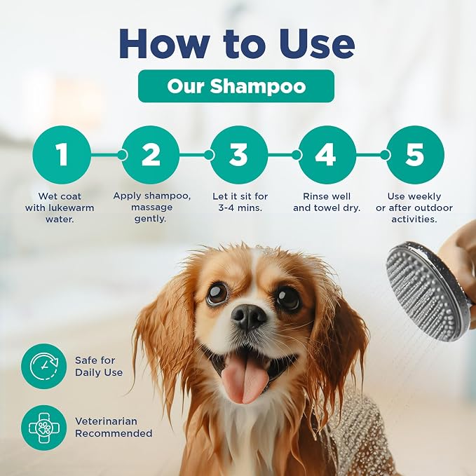 Pawfect, Mite-Me-Not Botanical Dog Shampoo, Citronella & Aloe Pet Shampoo | Made in Canada, Hypoallergenic Flea and Tick Relief Grooming Shampoo for Dogs, Cats & Small Pets Sensitive Skin, 16.9 Oz