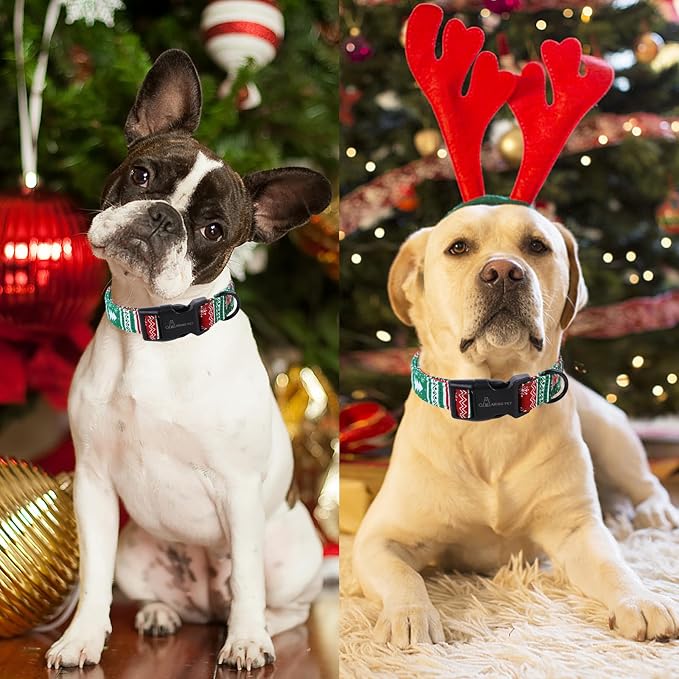 ARING PET Christmas Dog Collar, Cute Red Green Folk Snowflake Pet Collars with Quick Release Buckle for Puppy Small Medium Large Boy Girl Dogs-L