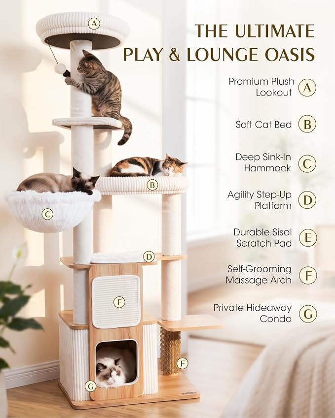 63" Wooden Cat Tree, Modern Cat Tower, Self-Grooming Brush,Natural | Heavy Duty Cat Tree, Cats Furniture, for Large Cats up to 15 lbs, Climbing Post, Plush Top Perch, Stable Base, Cozy Cat Condo