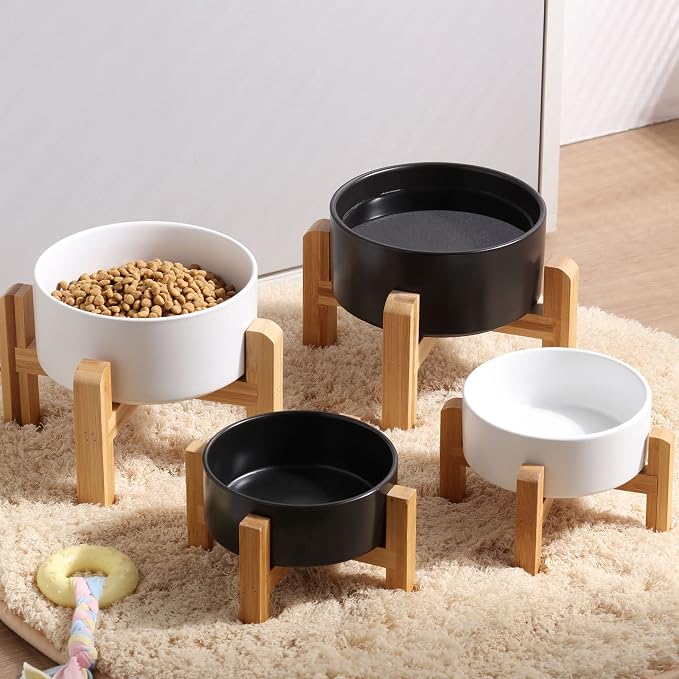 Petygooing White Elevated/Raised Ceramic Dog Bowl for Small Breeds, Dog Food Water Dish with Stand,Pet Feeding Bowl with Anti Slip Rubber for Cats and Small Dogs Puppy 13.5 OZ (5.1In / 1.7 Cups