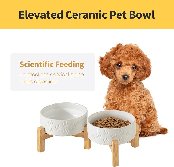 Elevated Ceramic Dog Bowl Set, Anti-Skid Bamboo Stand, White, 5.1 inch | Food and Water Bowls with Fixed Non-Slip Rubber Ring, Microwave Safe, Easy to Clean, 1.6 Cup per Bowl, for Small-Breed Puppy