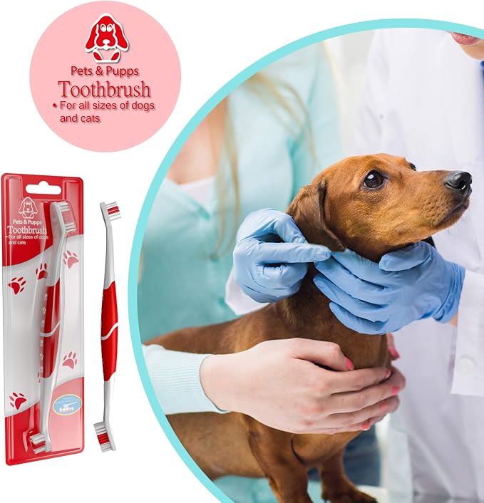 Pet Toothbrush for Dogs, Cats with Soft Bristles - Easy Teeth Cleaning & Dental Care, Non Slip Dual Head Dog Toothbrush for Medium & Large Pets, Toothpaste Not Included, Pack of 2 Red
