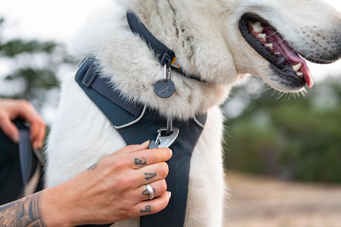 Ruffwear, Front Range Dog Collar, Adjustable Tubelok Webbing, Lightweight, Side Release Buckle, Aluminum V-Ring, Durable for Everyday Use, Red Canyon, 11"-14"