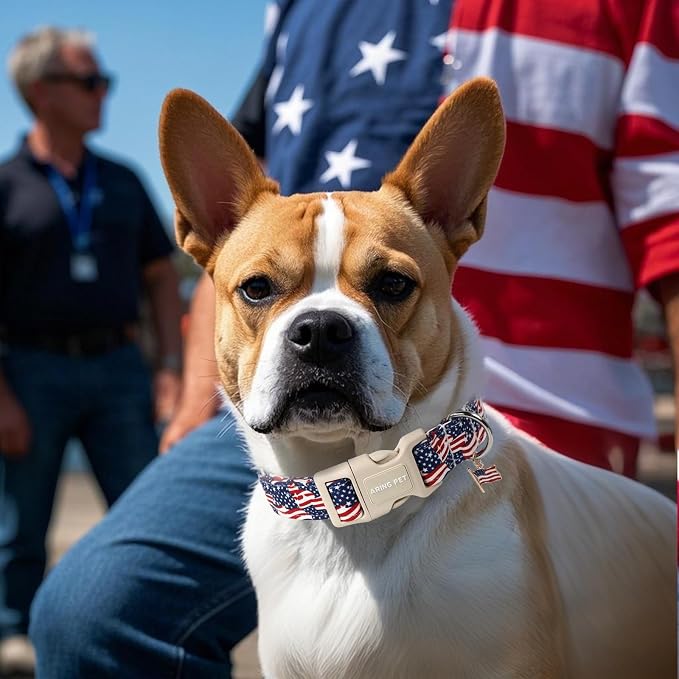 ARING PET 4th of July Collars for Dogs, Fourth of July Patriotic American USA Flag Red White Blue Dog Collar for Puppy Small Medium Large Boy Girl Doggy-XS