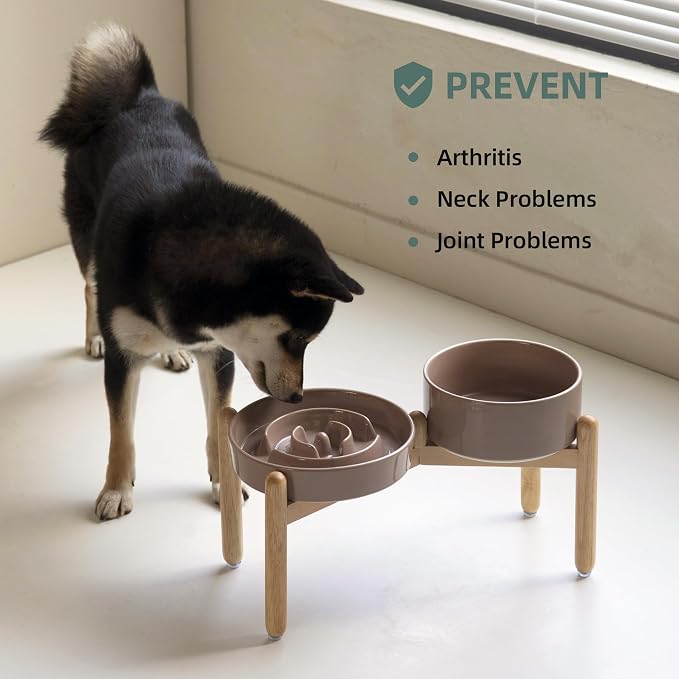 Havniva 8.2” Raised Slow Feeder Dog Bowls Set, 1.6 Cups Ceramic Slow Feeder Dog Bowl and 7.3” Dog Water Bowl with Elevated Wooden Stand Puzzle Dog Food Bowl for Medium Dogs Anti-Gulping & Anti-Choking