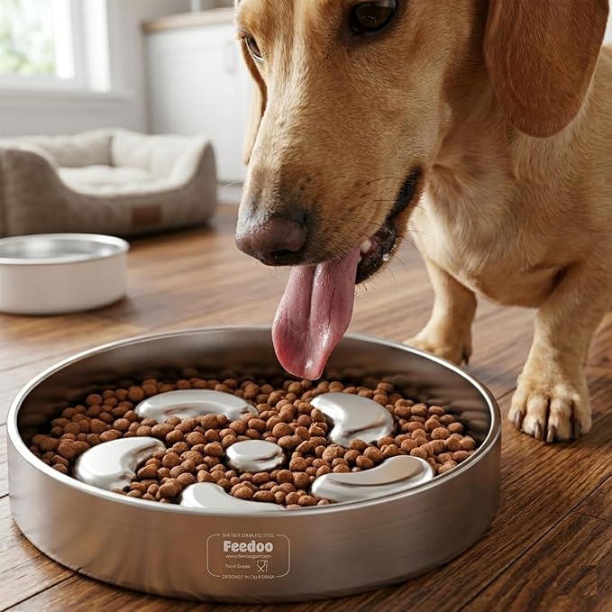 Slow Feeder Dog Bowl-2Cups for Medium Breeds, Double Wall Food-Grade Stainless Steel, Heavy Duty with Non-Slip Rubber Base, Puzzle Maze Bowl to Slow Down Eating