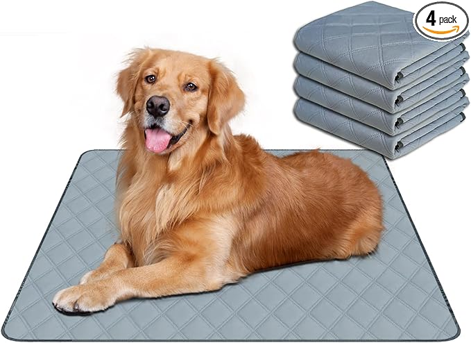 RIOUSSI Reusable Pee Pads for Dogs, Puppies. Washable, Absorbent, Leakproof | Soft Material | Non-Slip Bottom | Ideal for Dog-Potty Training | Light Gray, 20"x28", 4-Pack