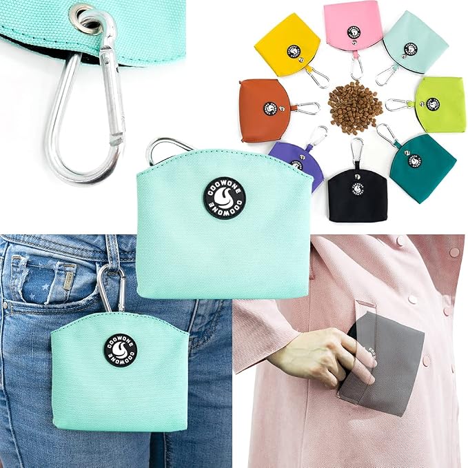 Dog Treat Pouch Magnetic Closure Small Dog Training Treat Pouch Pocket Sized Small Dog Treat Pouch with Clip (mint green)
