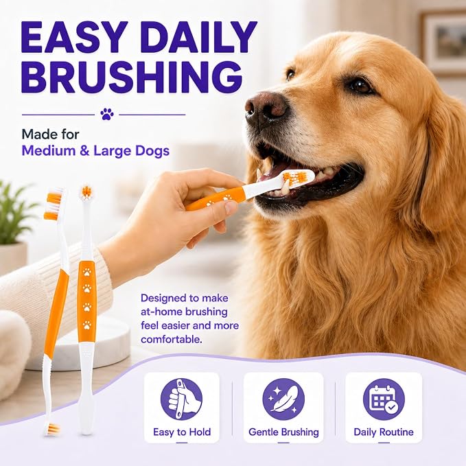 Dog Toothbrush, Dual-Head, for Medium-Large Dogs, Orange | Soft Bristles for Gentle Cleaning, 60° Curved Bristles for Better Coverage, Comfortable for Sensitive Gums