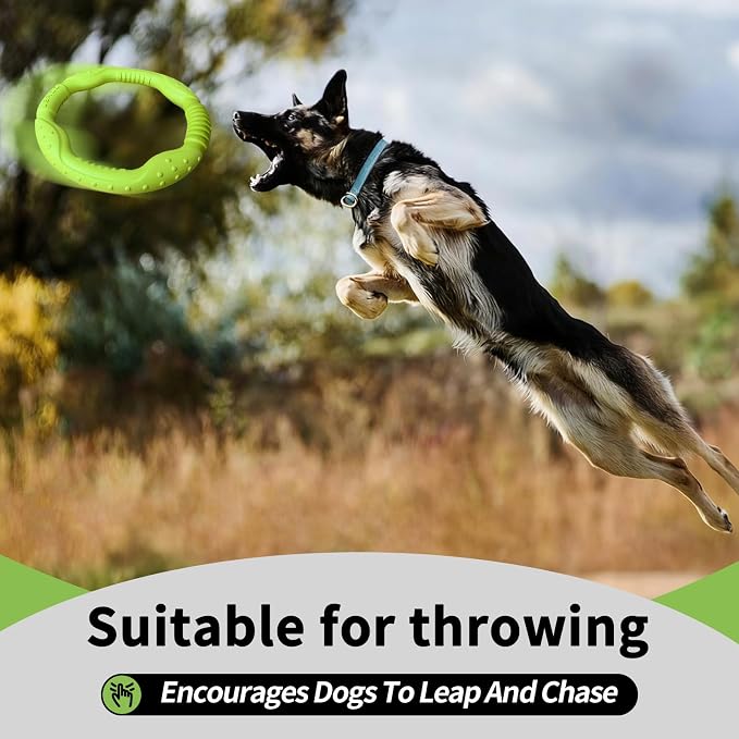 LaRoo Dog Ring Toy, Durable Soft Flying Disc for Throwing Catching Grabbing, Water Floating Dog Training Fetch Ring for Medium Large Breeds, Outdoor (Green/11.8Inch)