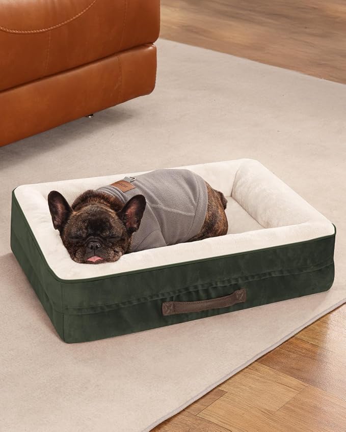Upvilla Orthopedic Dog Bed, Four-Sided Cushioned Egg-Shaped Foam Dog Sofa, Waterproof Removable Cover, Cat Bed with Non-Slip Base, Small Pet Bed,Green