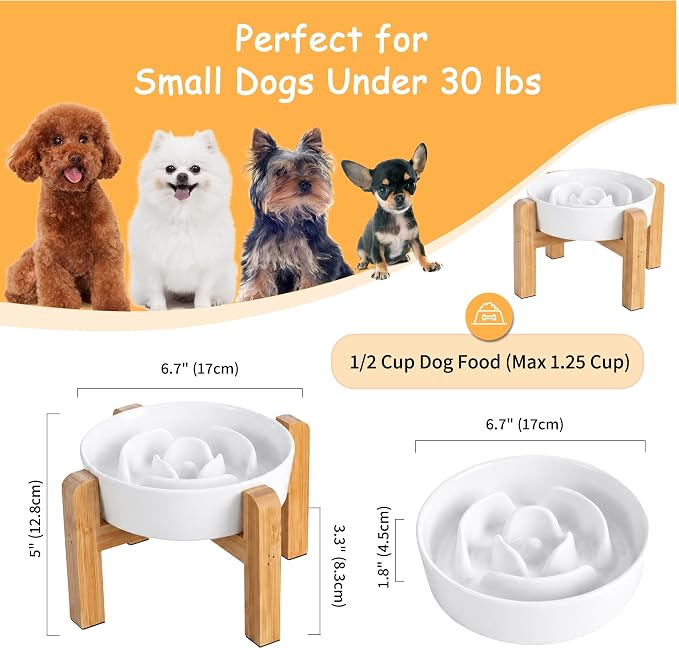 Elevated Slow Feeder Dog Bowl - Ceramic Maze Food Dish with Bamboo Stand - Raised Feeding Bowl for Fast Eaters - Ideal for Small and Medium Dogs - White - 6.7 inch