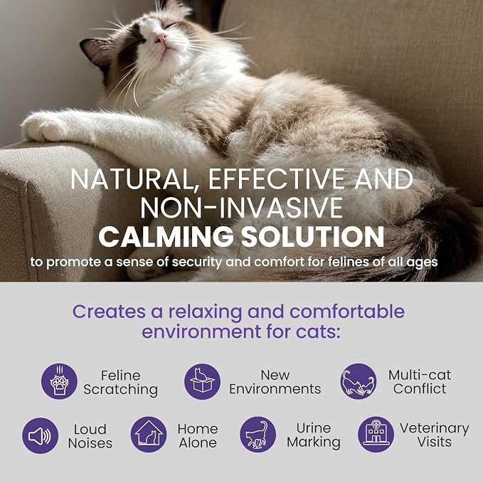 Cat Calming Pheromone Diffuser Refills 6-Pack (48ml Each): 6-Month Supply, Odorless, Reduces Scratching, Peeing, Hiding, Marking, Aggression & Meowing, Compatible with Most Bases | 6-month supply, saves 30% vs 6 singles, reduces scratching/peeing/hidin...