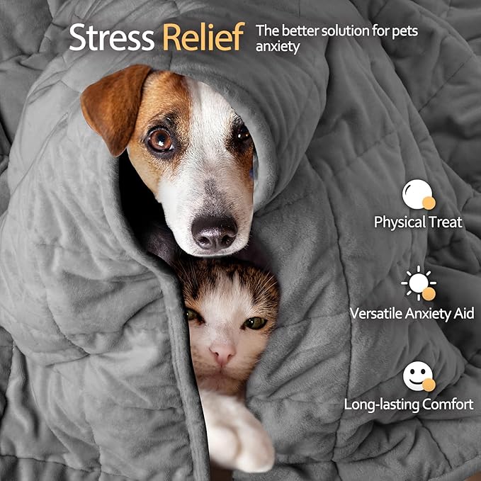 LaSyL Weighted Blanket for Pets | Thunder Blanket for Dogs Anxiety | Premium Soft Minky | Relaxation & Calming & Anti Anxiety | Used in Car, Bed, Couch | Dark Grey, Washable Small (24"x32")