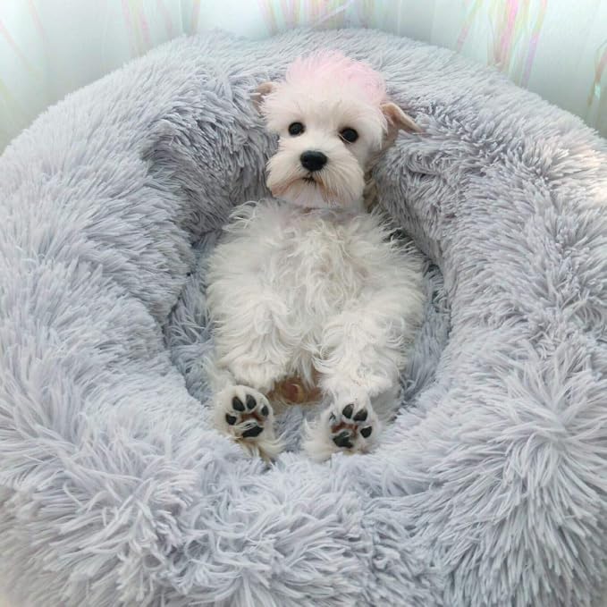 Modern Soft Plush Round Pet Bed for Cats or Small Dogs, Mini Medium Sized Dog Cat Bed Self Warming Autumn Winter Indoor Snooze Sleeping Cozy Kitty Teddy Kennel (24'' D x 8'' H, Light Grey)