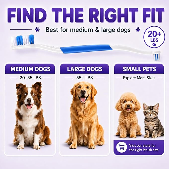 Dog Toothbrush, Dual-Head, for Medium-Large Dogs,Blue | Soft Bristles for Gentle Cleaning, 60° Curved Bristles for Better Coverage, Comfortable for Sensitive Gums