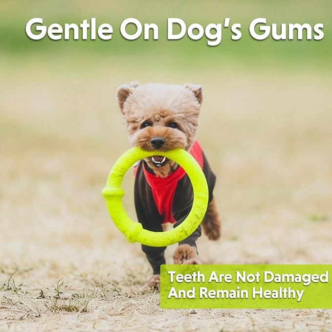 LaRoo Dog Chew Ring Toy for Small Dogs, Durable EVA Floating Puppy Teething Chew Toy, Interactive Tug of War Fetch Toy for Dental Cleaning & Outdoor Play (Green)