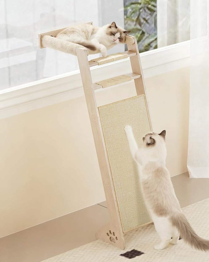 Cat Window Perch with Scratching Pad, 51'' Climbing Tree Include Hammock Cat Ladder with 2 Suction Cups for Sleeping, Playing and Watching Bird