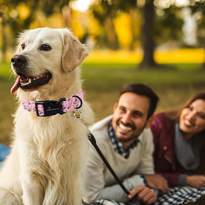 ARING PET Bee Dog Collar, Cute Spring Summer Pink Yellow Honeybees Pet Collars for Puppy Small Medium Large Boy Girl Dogs-S
