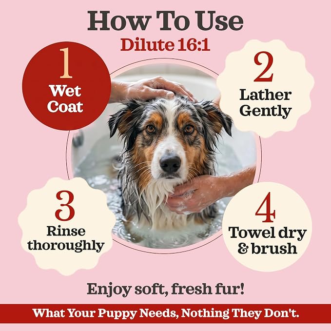 2in1 Hypoallergenic Dog Shampoo & Conditioner, Oatmeal & Collagen Formula | Tearless Dog Wash for Puppies, Itchy Skin Relief, White Musk Scent, Moisturizing & Skin Sensitive Friendly, Gallon Size