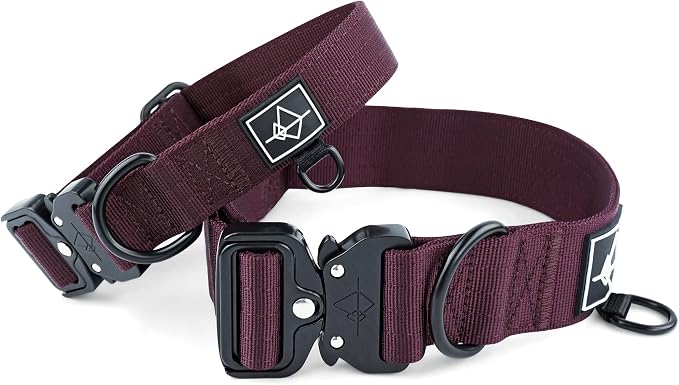 Made to ROAM Premium Dog Collar - Adjustable Heavy Duty Nylon Collar with Quick-Release Metal Buckle (Vermont Weekends, Classic Size 5)