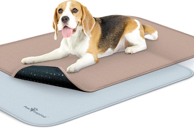 Paw Inspired Washable Crate Liners for Dogs, 35x22 Inch, 2 Pack | Fits 36 Inch Kennels, Leakproof, Non-Slip Pee Pads, Reusable Puppy Pads for Potty Training, Whelping, Waterproof Pet Mat